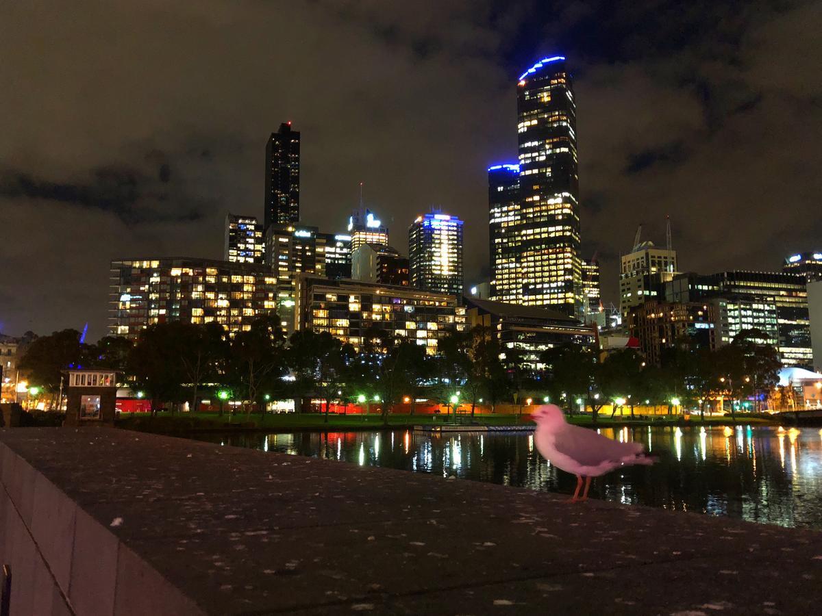 Apartamento Melbourne River Views Exterior foto